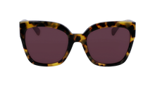 Longchamp Sunglasses LO717S 255