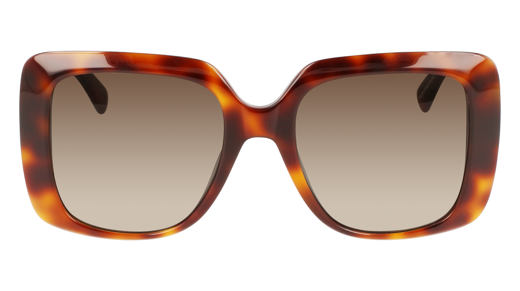 LO713S – Amazing Gaze display picture 3