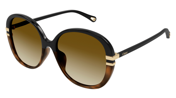 Chlo& Sunglasses 0207SK 003 West