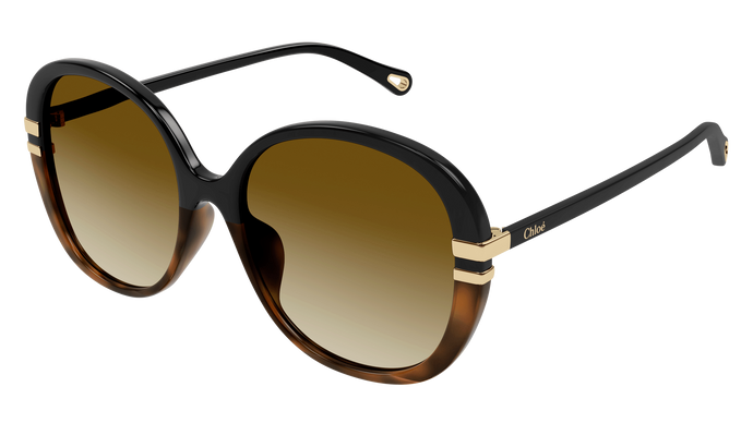 Chlo& Sunglasses 0207SK 003 West