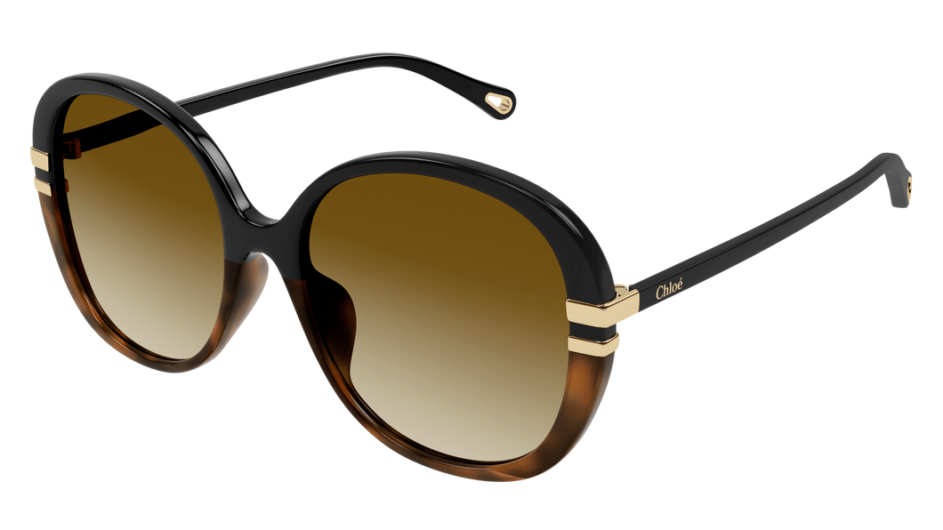 Chlo& Sunglasses 0207SK 003 West