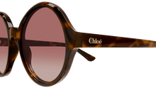 Chloé Sunglasses 0290S 003