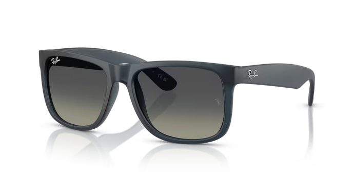 Ray Ban Sunglasses Justin RB4165 6813/11