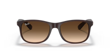 Ray Ban Sunglasses Andy RB4202 6073/13