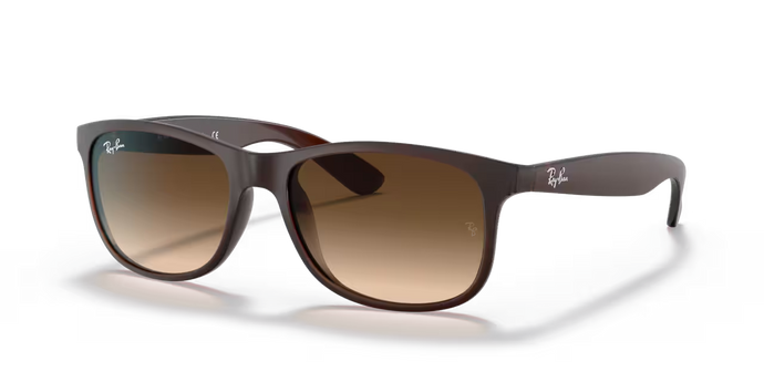 Ray Ban Sunglasses Andy RB4202 6073/13