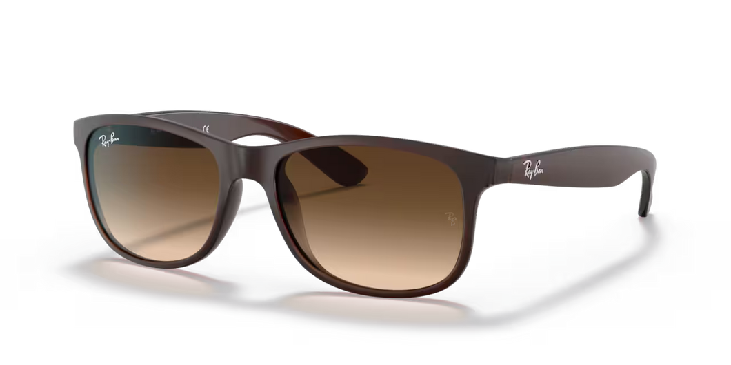Ray Ban Sunglasses Andy RB4202 6073/13