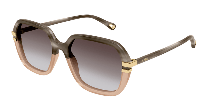 Chloe Sunglasses SH0204S 004