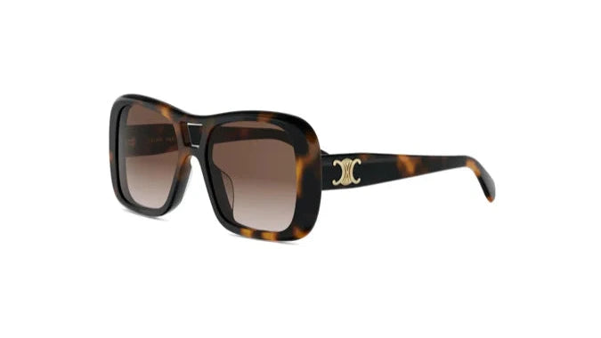 Celine Sunglasses 4033IU 53F