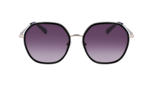Longchamp Sunglasses LO163S 728