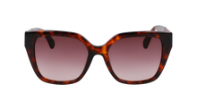 Longchamp Sunglasses LO754SL 230
