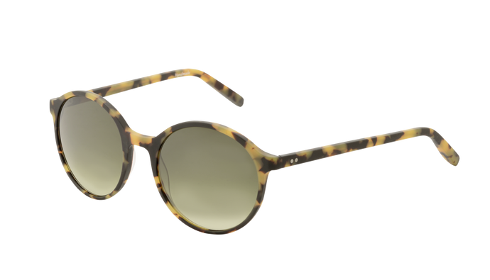 Indian sunglasses round Amazing Gaze