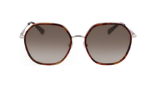 Longchamp Sunglasses LO163S 717
