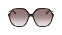 Longchamp Sunglasses LO707S 001