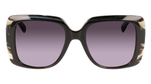 Longchamp Sunglasses LO713S 003