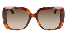 Longchamp Sunglasses LO713S 230