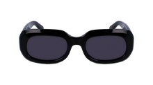 Longchamp Sunglasses LO716S 001