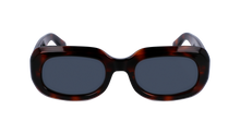Longchamp Sunglasses LO716S 230